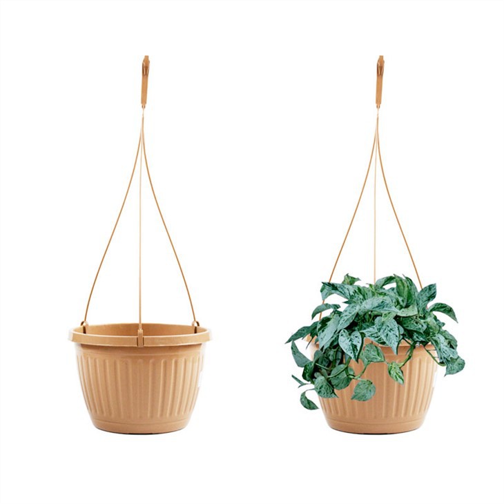 10 Inch Hanging Planter